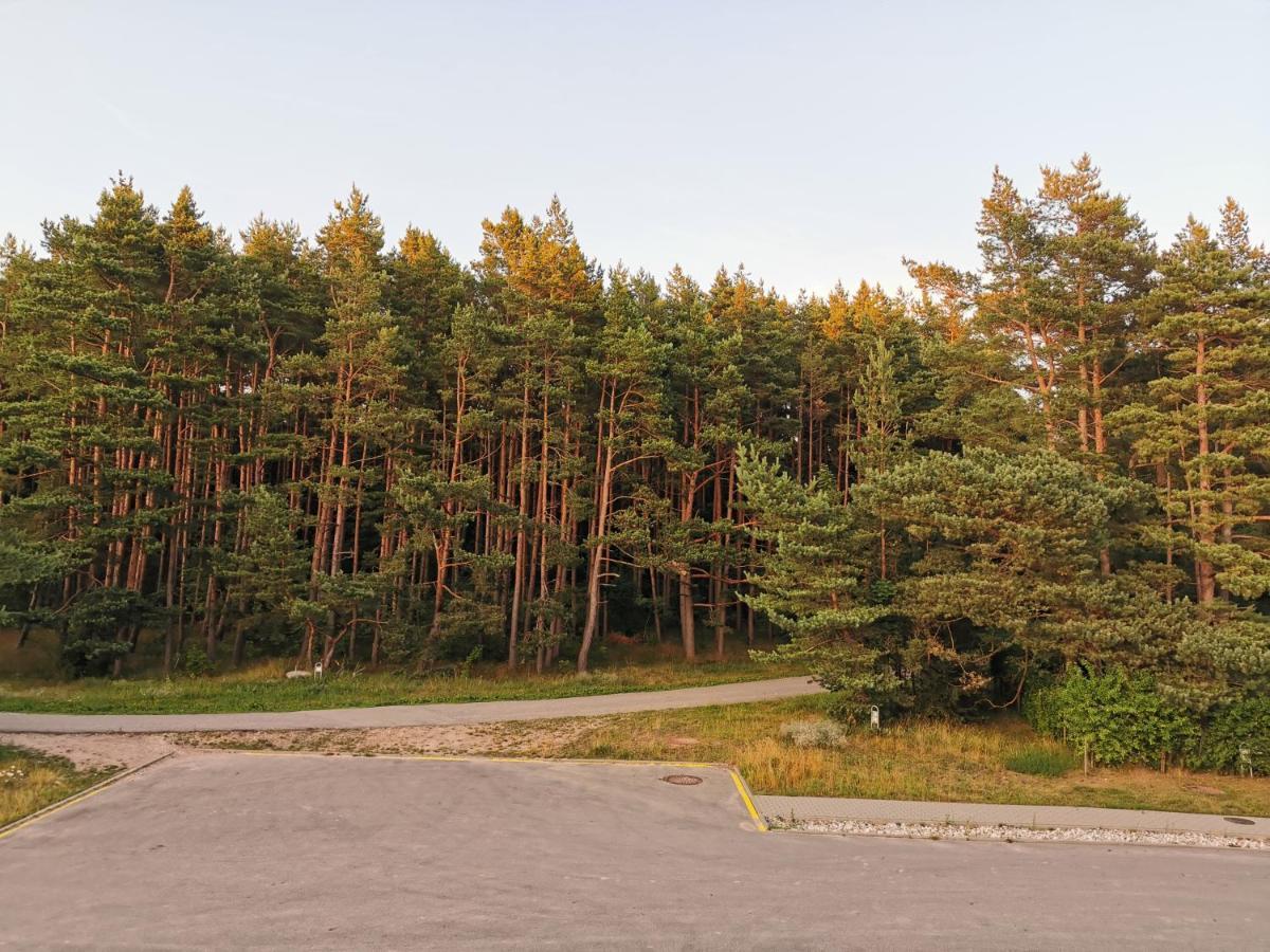 Melnrage Beach Cozy Apartments & Terrace - Pine View Sea Entry Klaipėda Exteriér fotografie